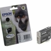 Zásobník Epson T0891, C13T08914011 - originálny (Čierny)