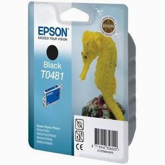 E-shop Epson Atramentová cartridge Epson RX500, RX600, R200, R300, C13T048140, čierna, 1 * 13ml, - originál